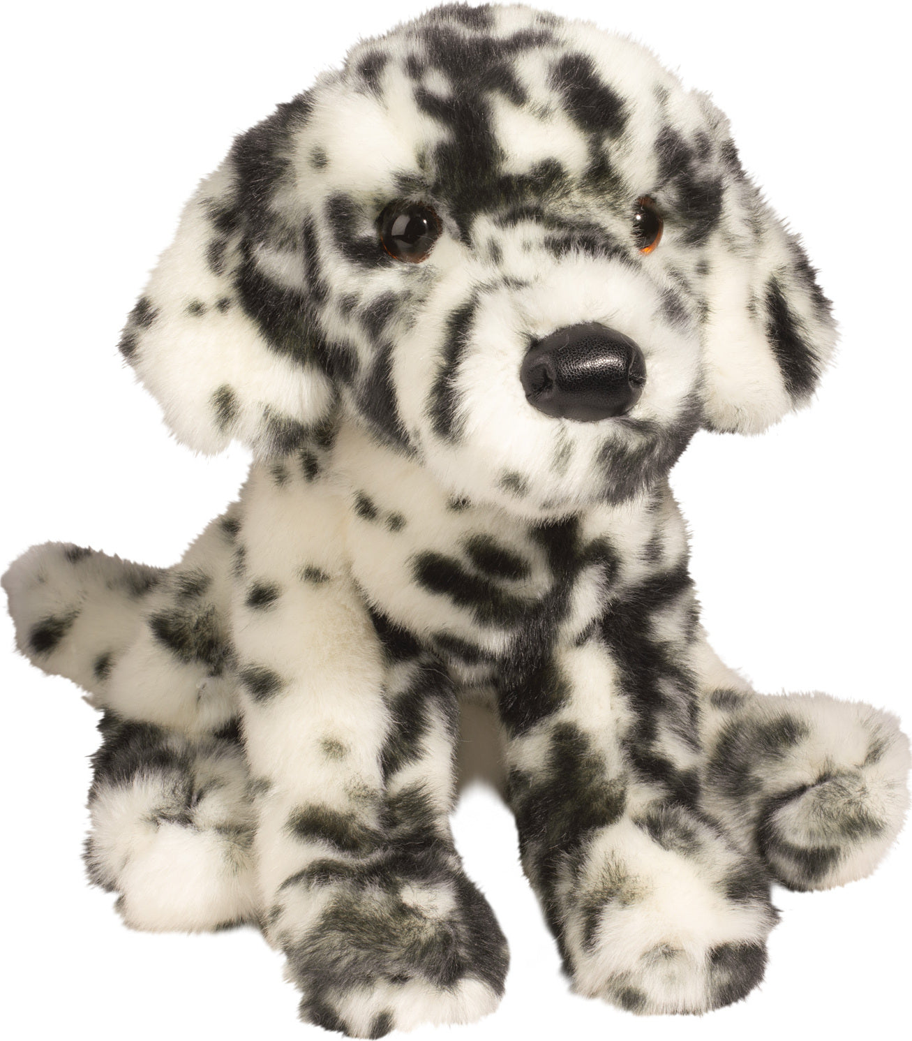 Mackay Dalmatian