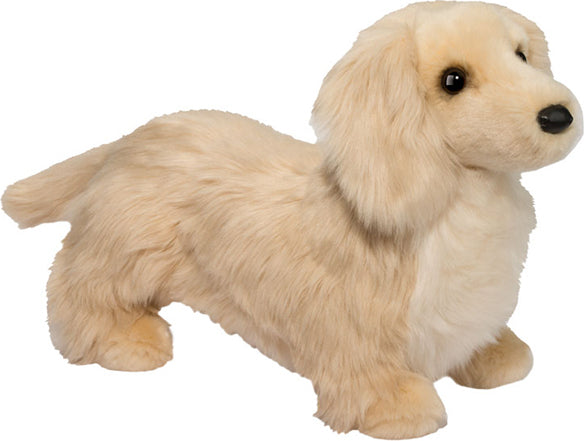 Haisley Golden Dachshund