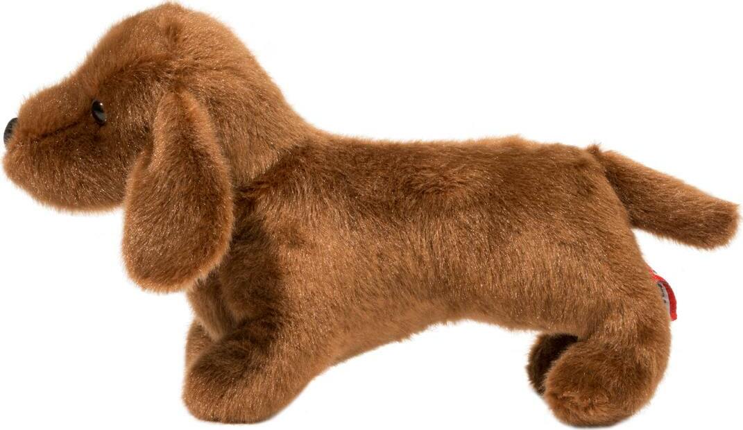 Dilly Dachshund