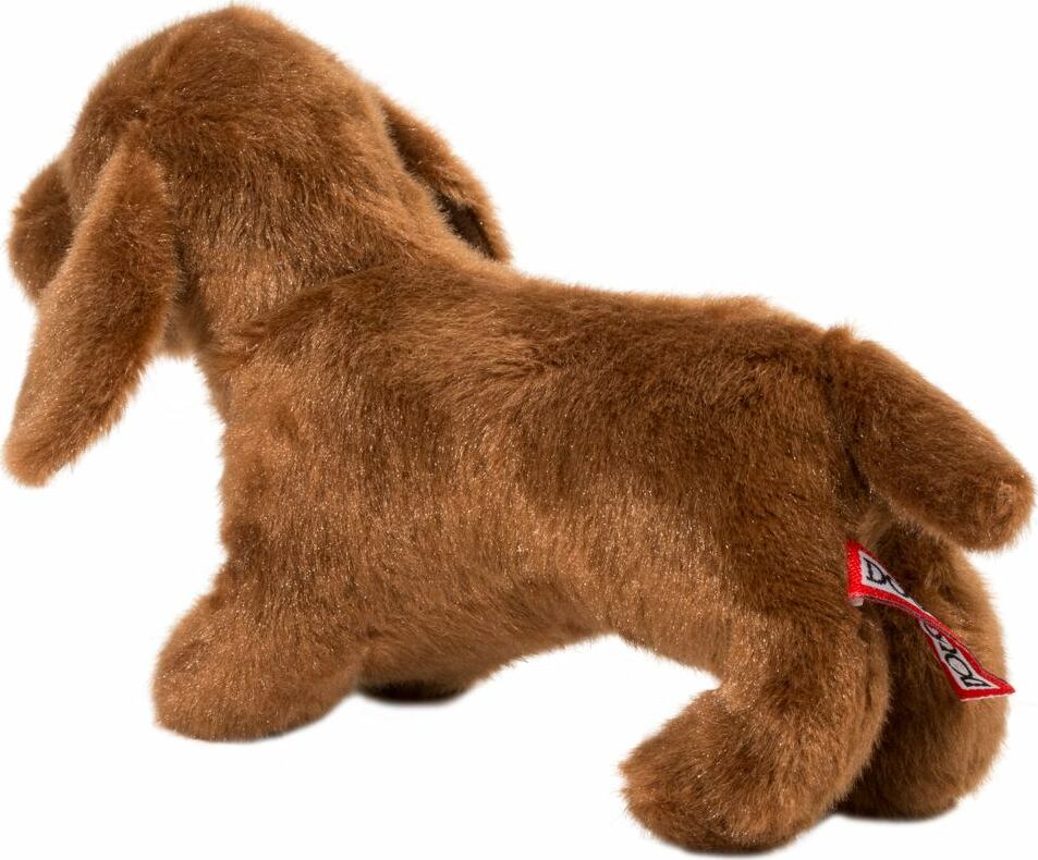 Dilly Dachshund