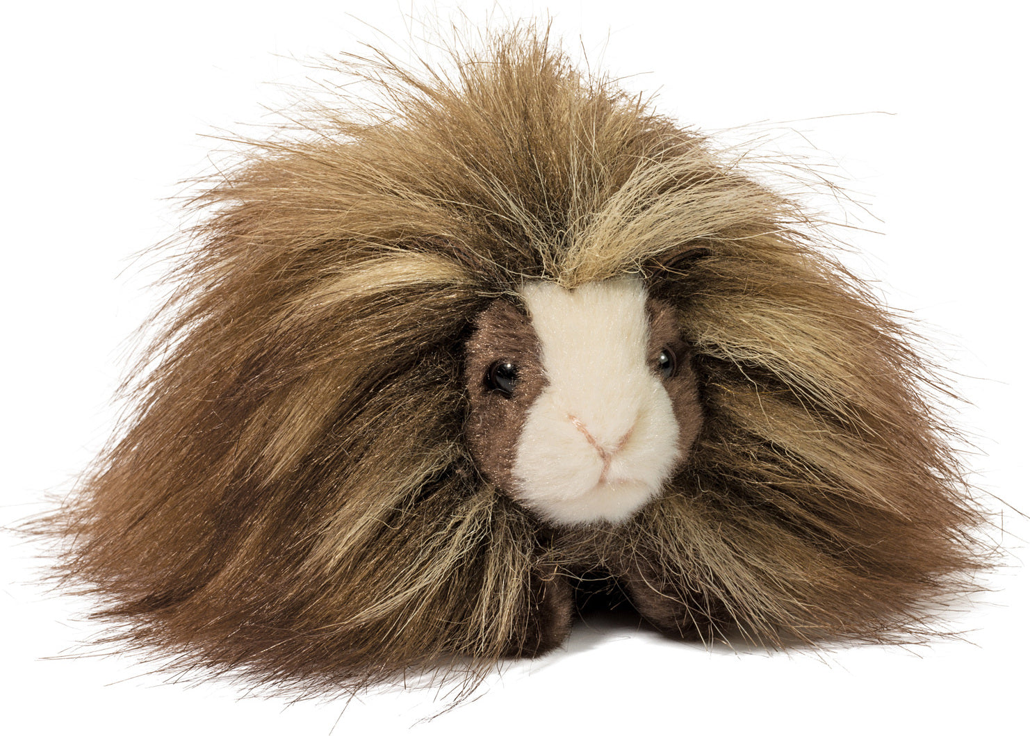 Angora Guinea Pig