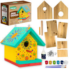 Junior Birdhouse DIY Woodworking Kit