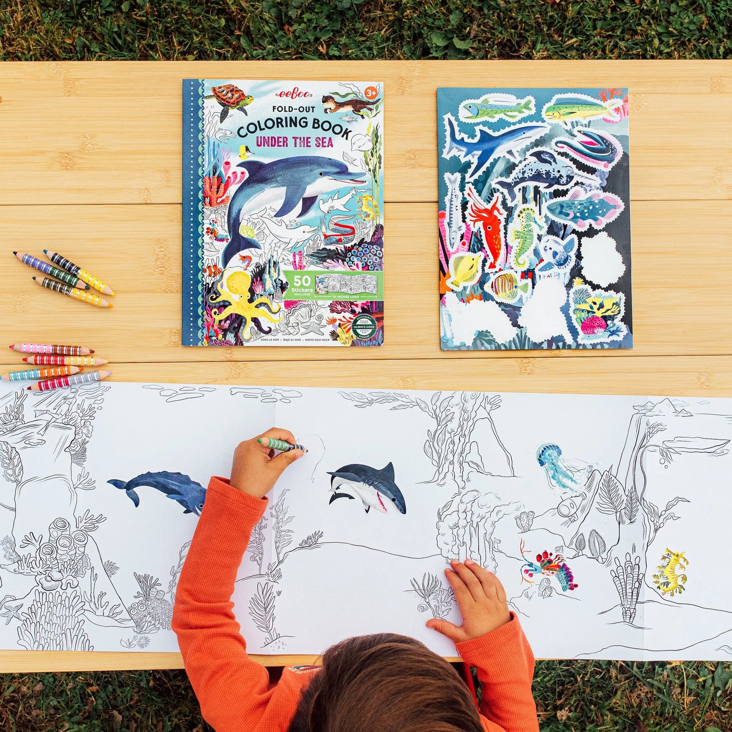 Under the Sea (fold-out coloring book with stickers)