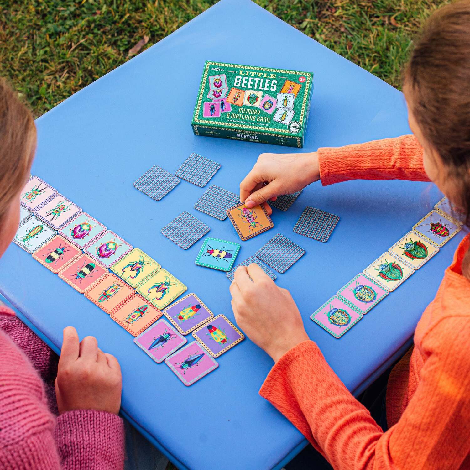 Beetles (little memory & matching game)