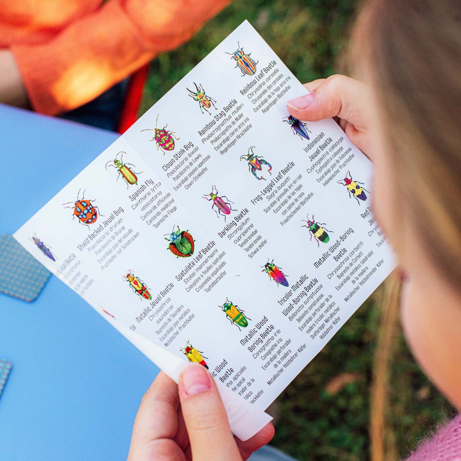 Beetles (little memory & matching game)