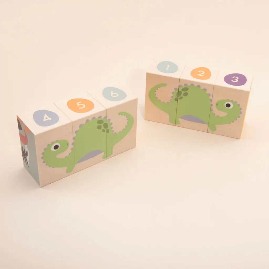 Environments Dinosaur Blocks