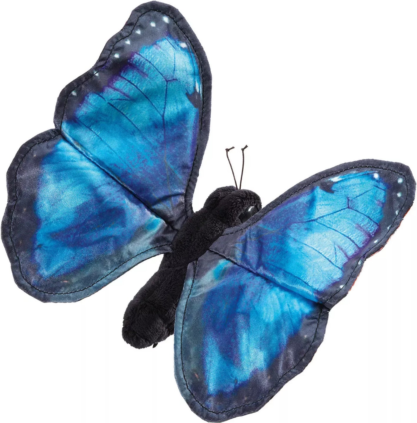 Blue Morpho Butterfly