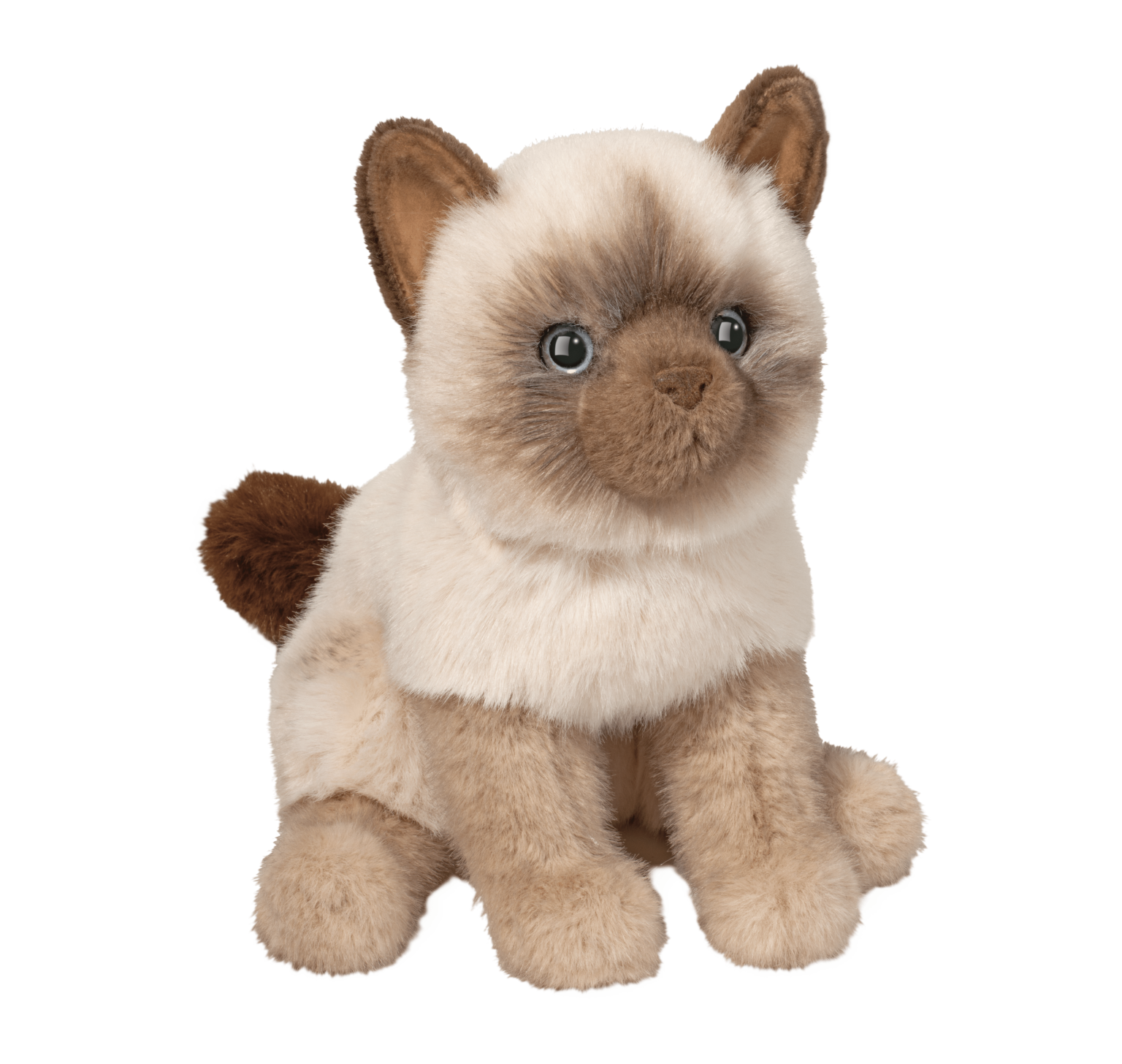 Fu Siamese Cat