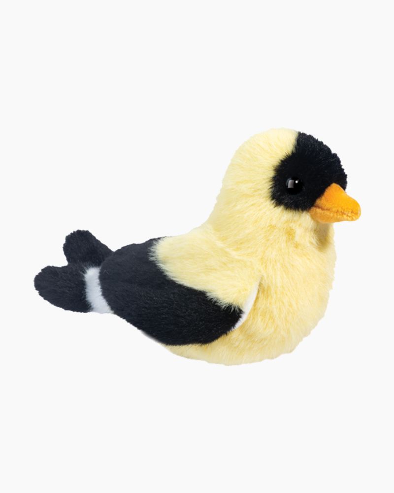 Goldfinch