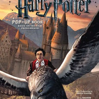 Harry Potter: A Pop Up Book