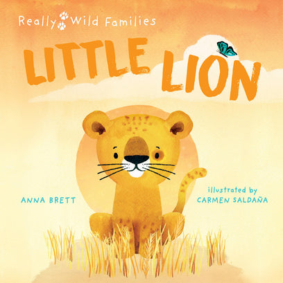 Little Lion: A Day in the Life of a Little Lion