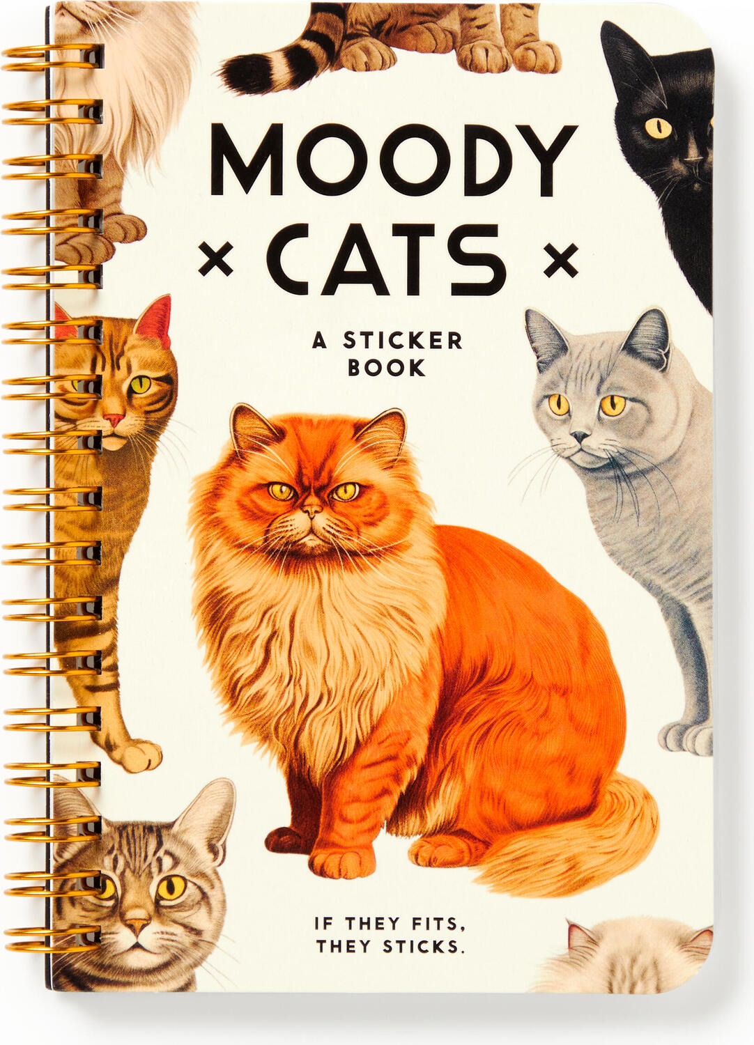Moody Cats Sticker Book