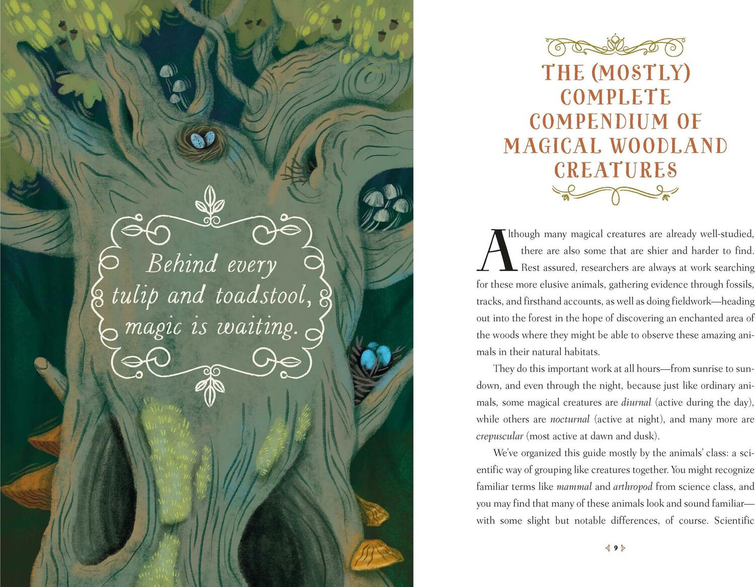 How to Spot a Magical Woodland Creature: A Field Guide to Enchanted Forest Animals
