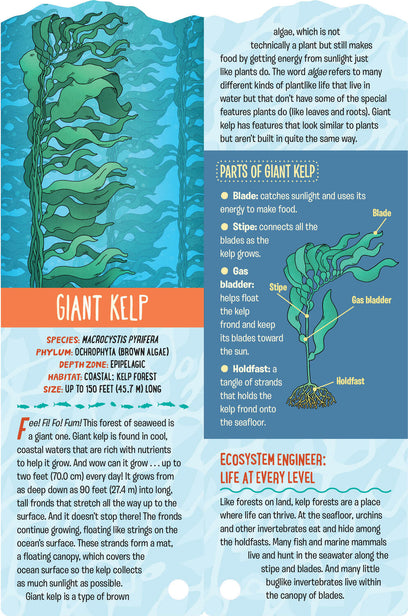 Fandex Kids: Ocean: Facts That Fit in Your Hand: 49 Sea Creatures Inside!