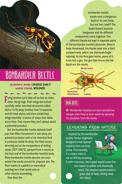 Fandex Kids: Bugs: Facts That Fit in Your Hand: 49 Incredible Insects, Spiders & More!
