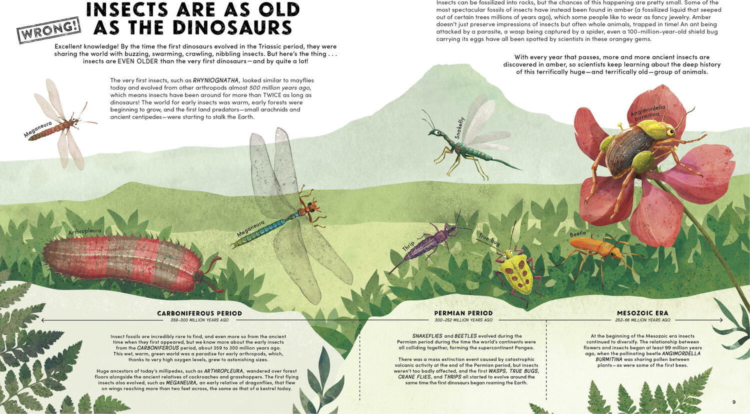Everything You Know About Bugs (and Other Tiny Creatures) is Wrong!