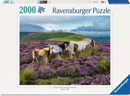 Wild Horses in the Heather Puzzle, 2000 pc