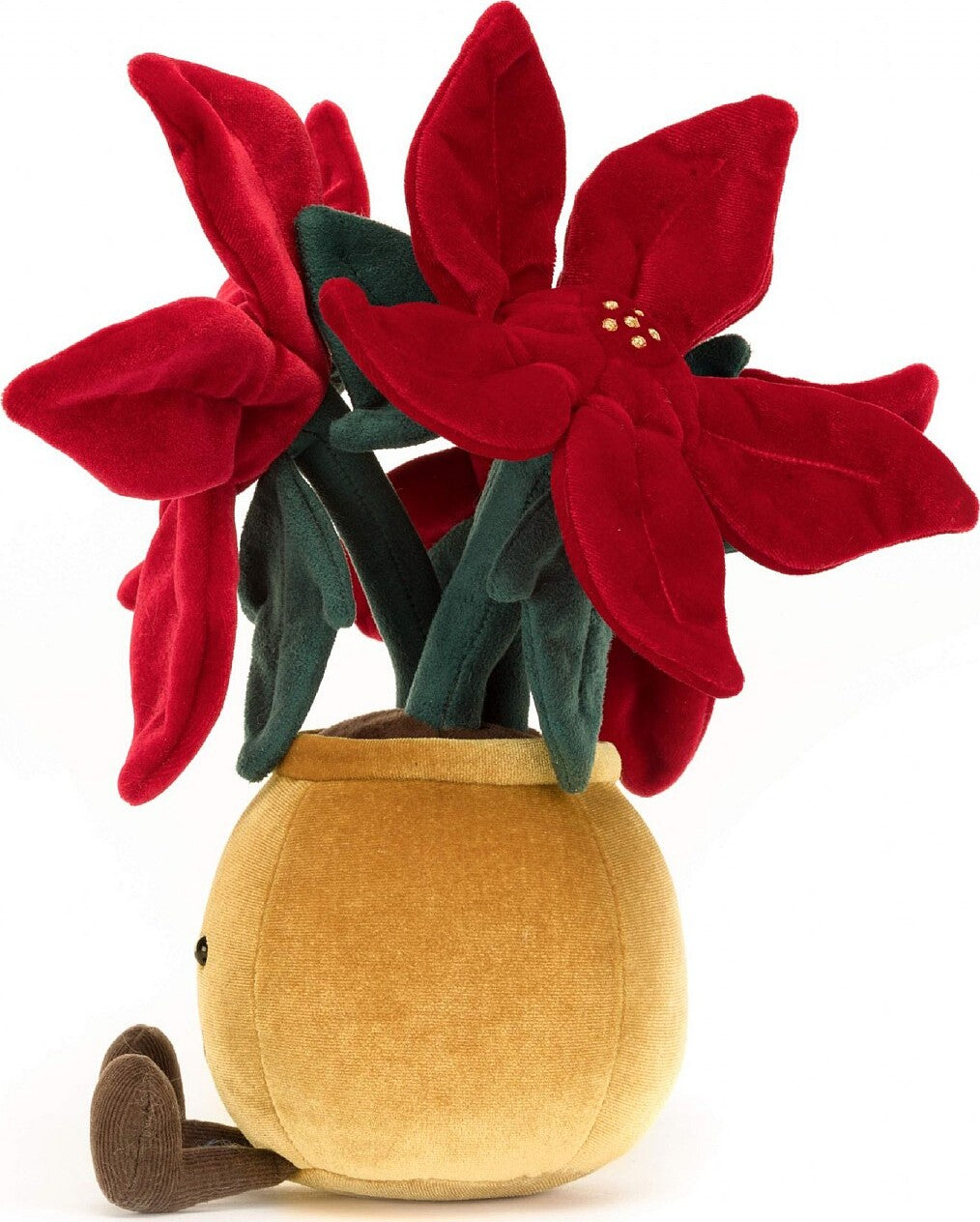 Amuseable Poinsettia