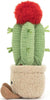 Amuseable Moon Cactus