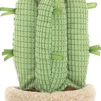 Amuseable Moon Cactus