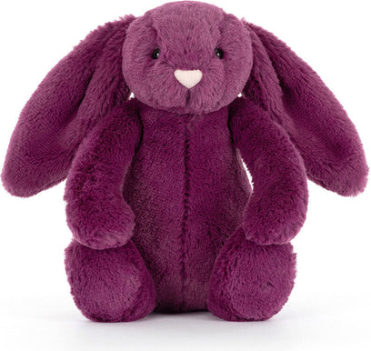 Little Allium Bunny