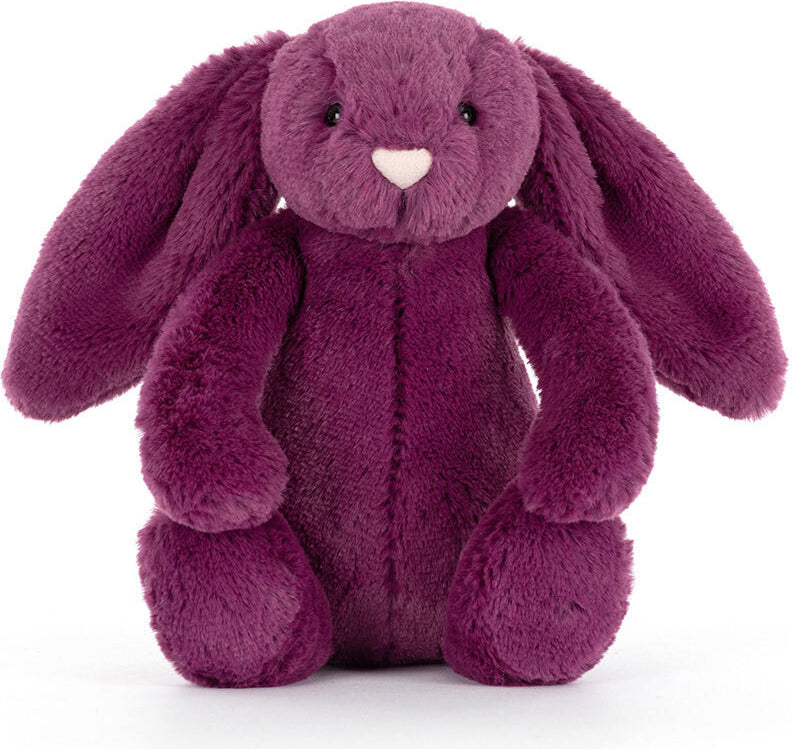 Little Allium Bunny
