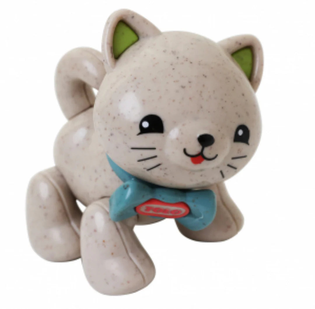 First Friends Kitten