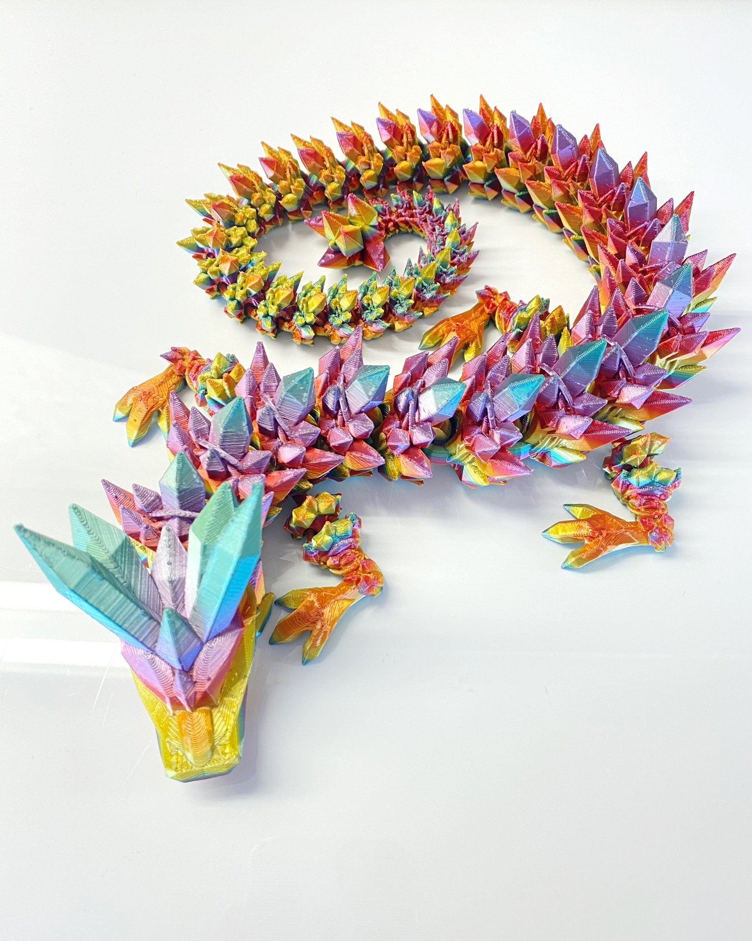Dragon Variety Large