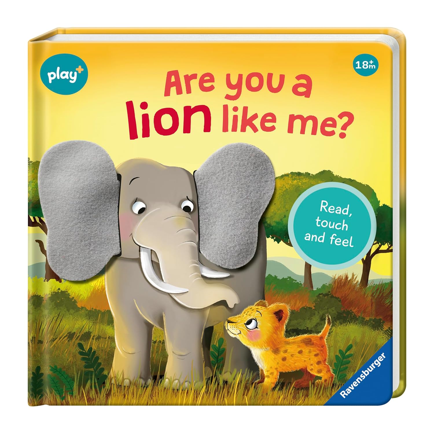 Are You a Lion Like Me?
