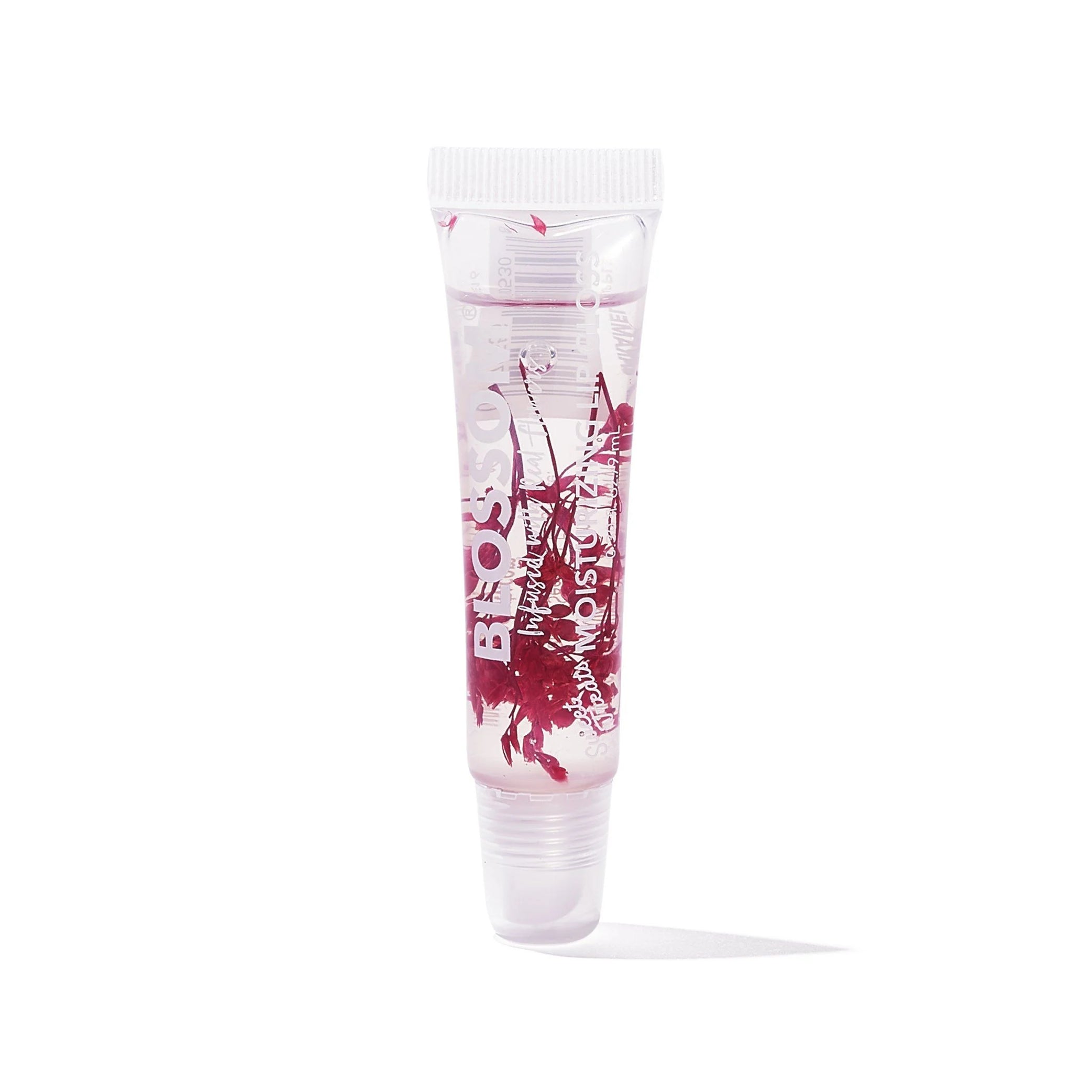 Sweet Treats Moisturizing Lip Gloss