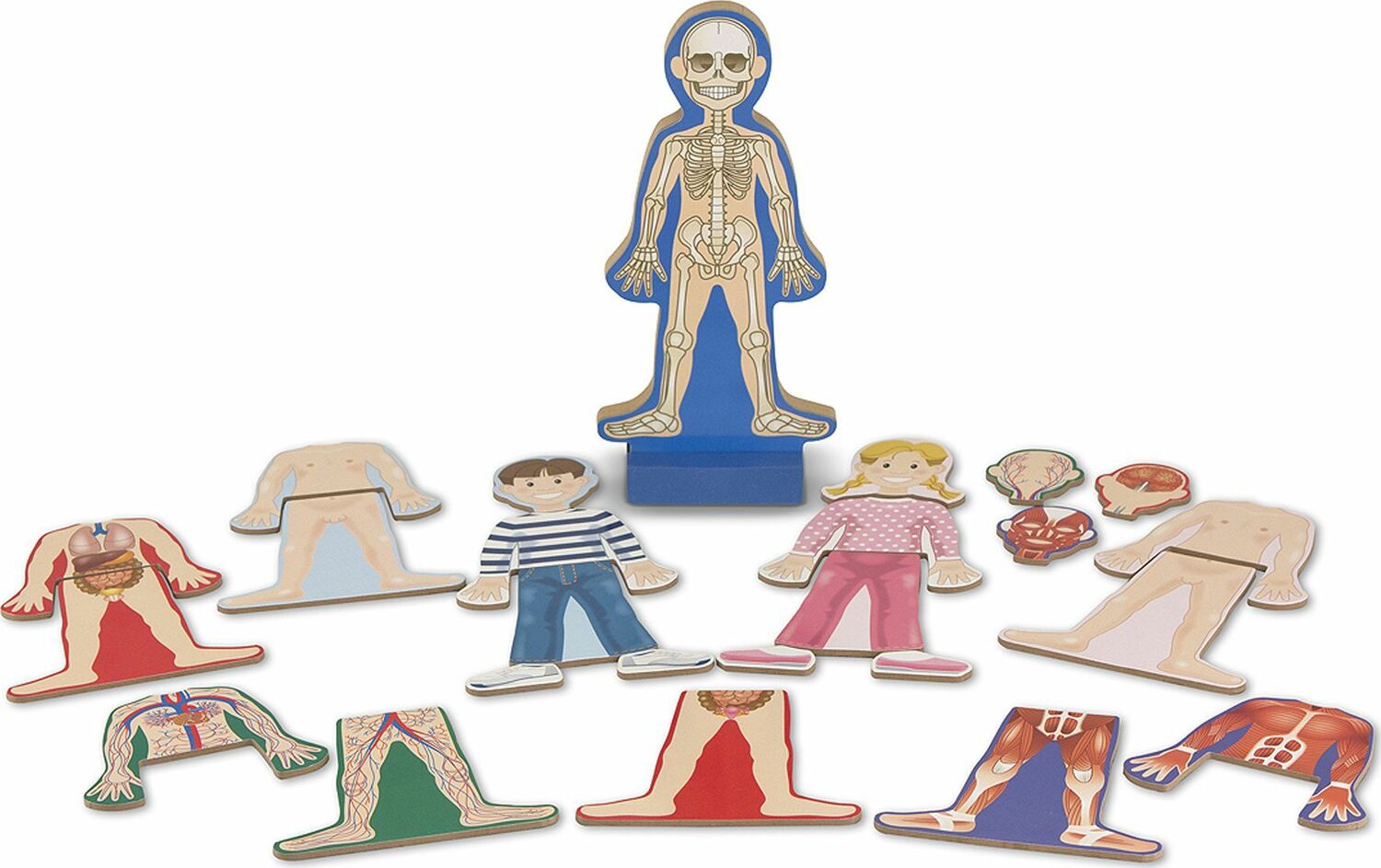 Magnetic Human Body Play Set