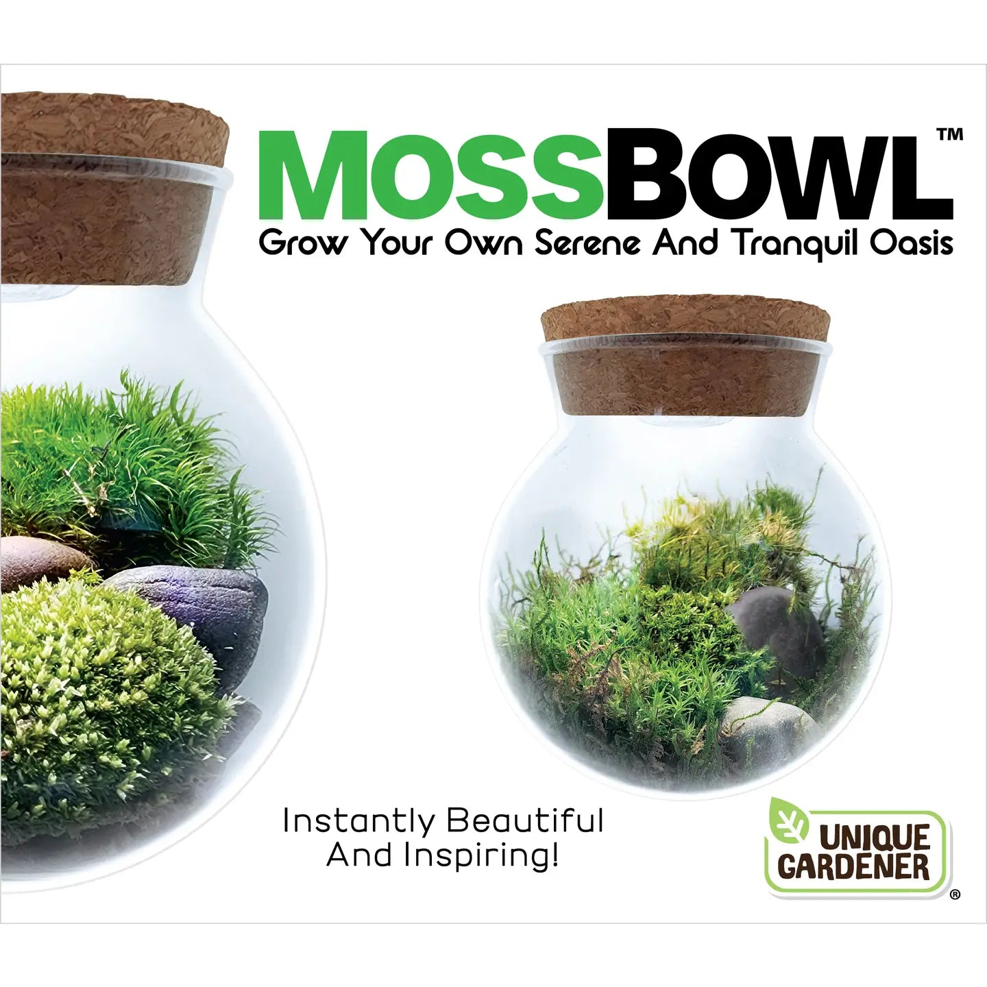 Mossbowl Glass Terrarium