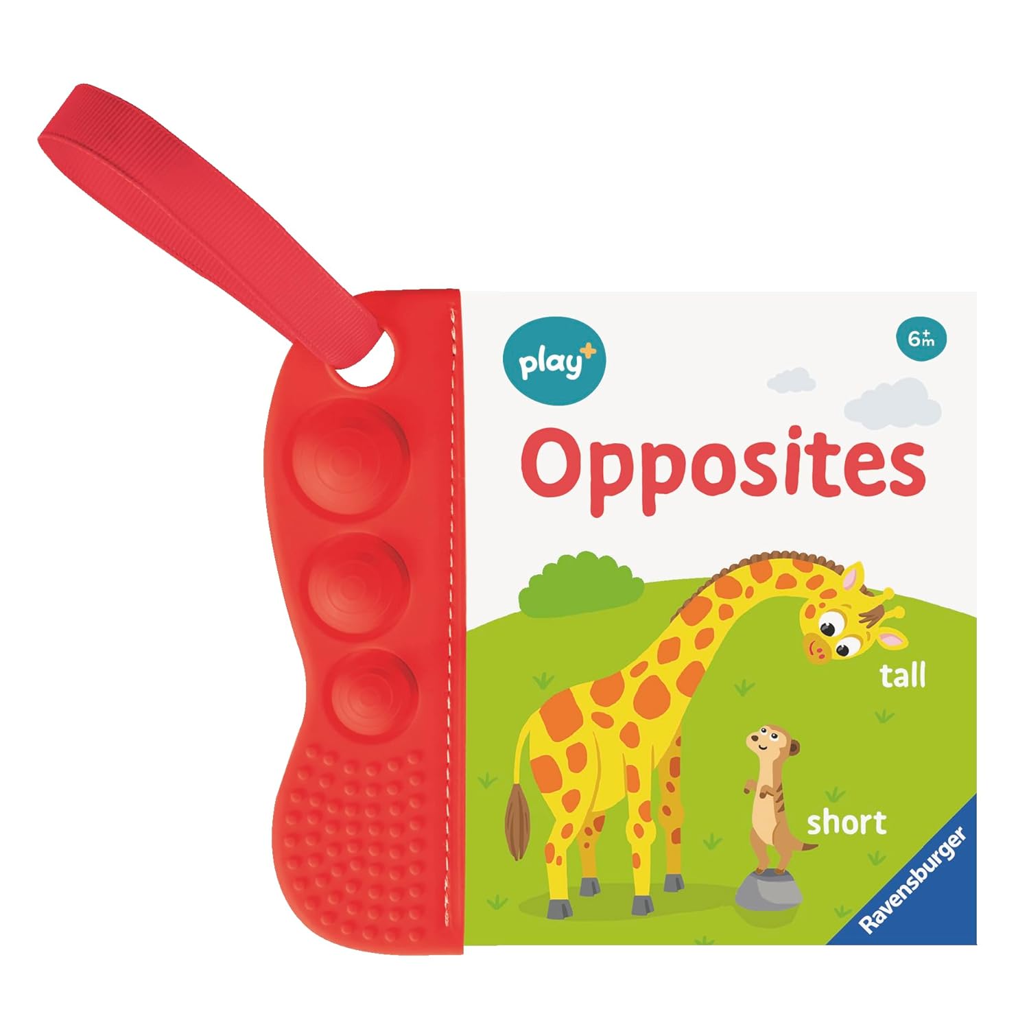 Flip & Pop Opposites