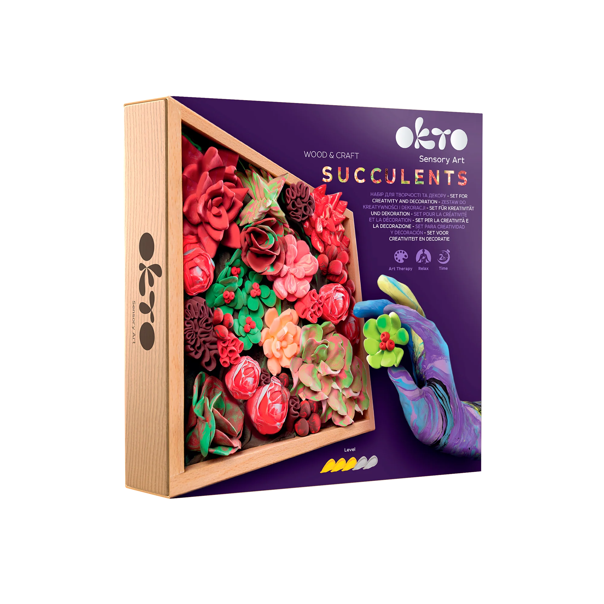 Okto Sensory Art - Succulent Craft Kit Passion