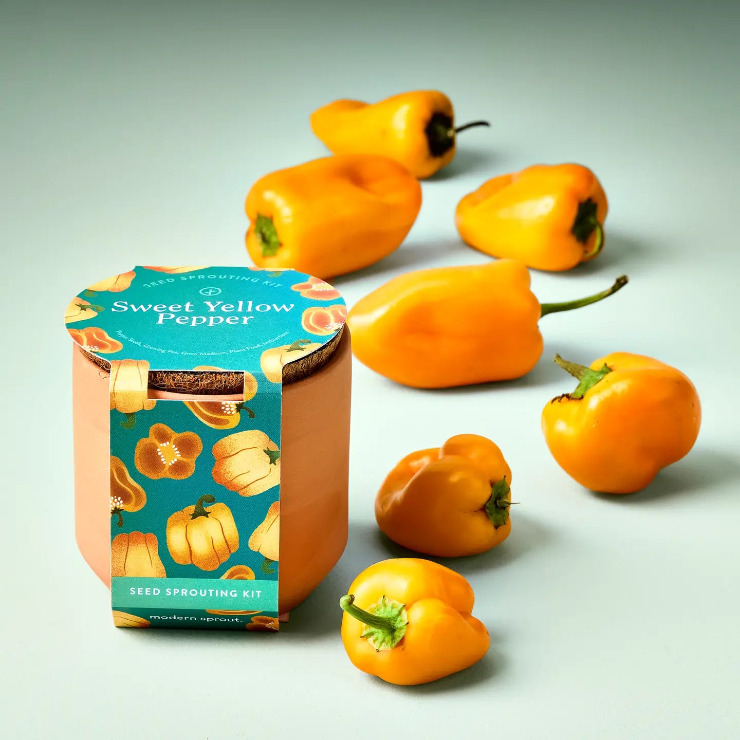 Tiny Terracotta Garden Kit- Sweet Yellow Pepper
