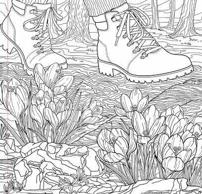 Wildflowers Adult Coloring Book (31 one-sided designs on thick paper)