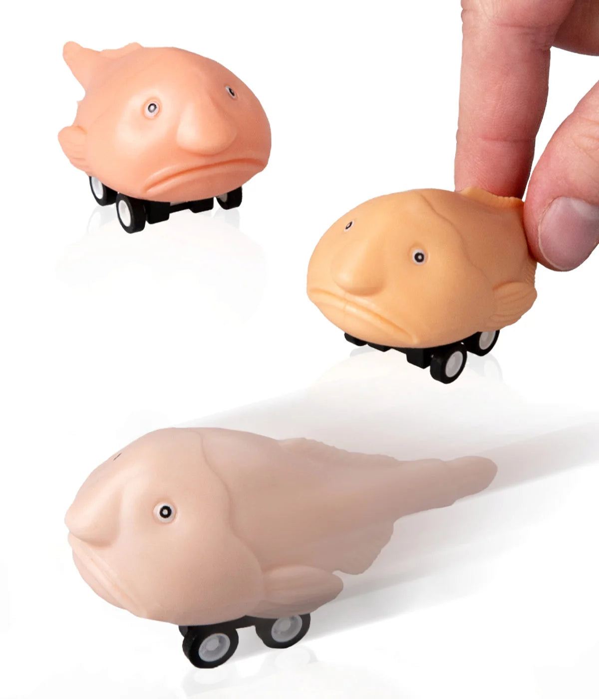 Racing Blobfish