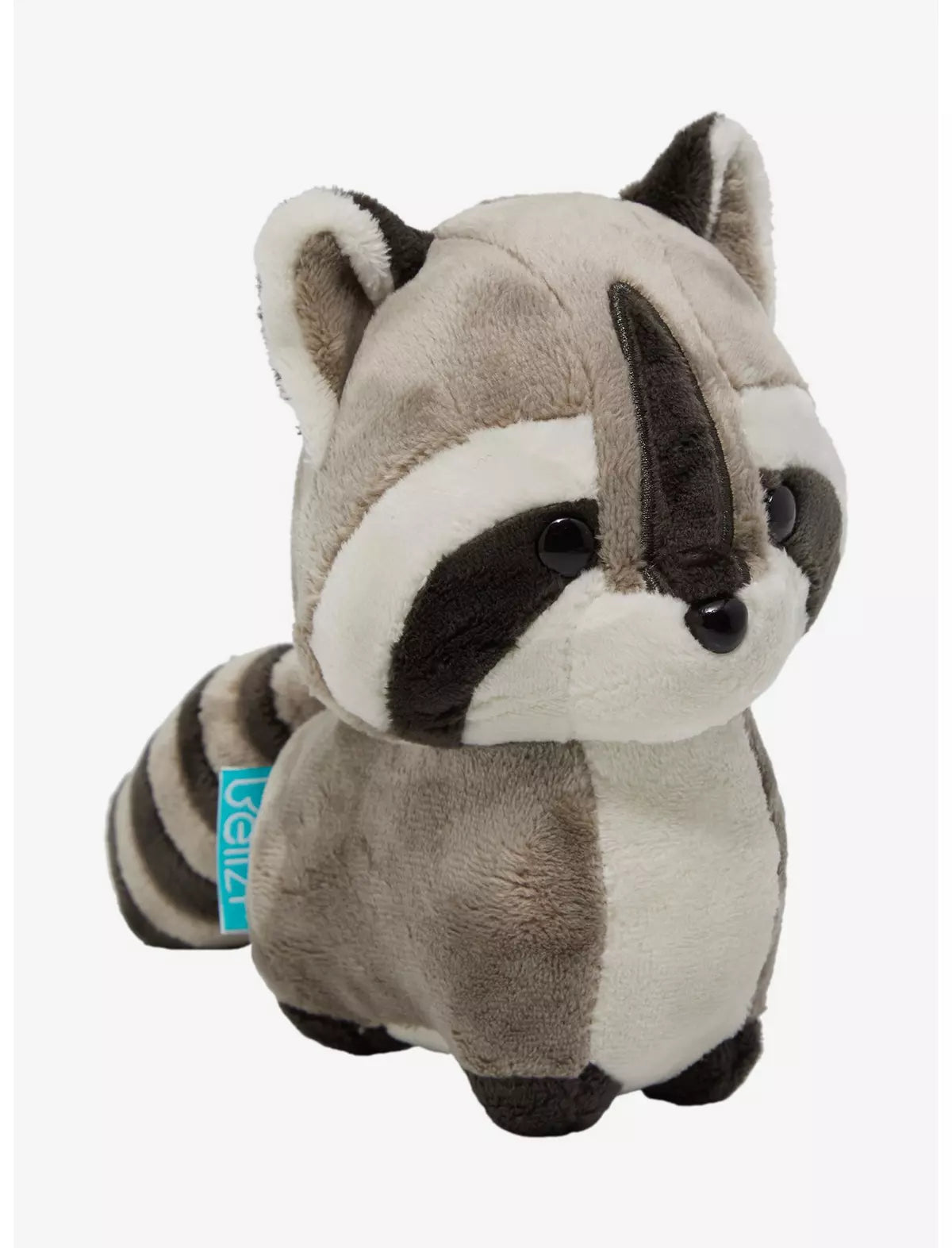 Raccooni the Raccoon