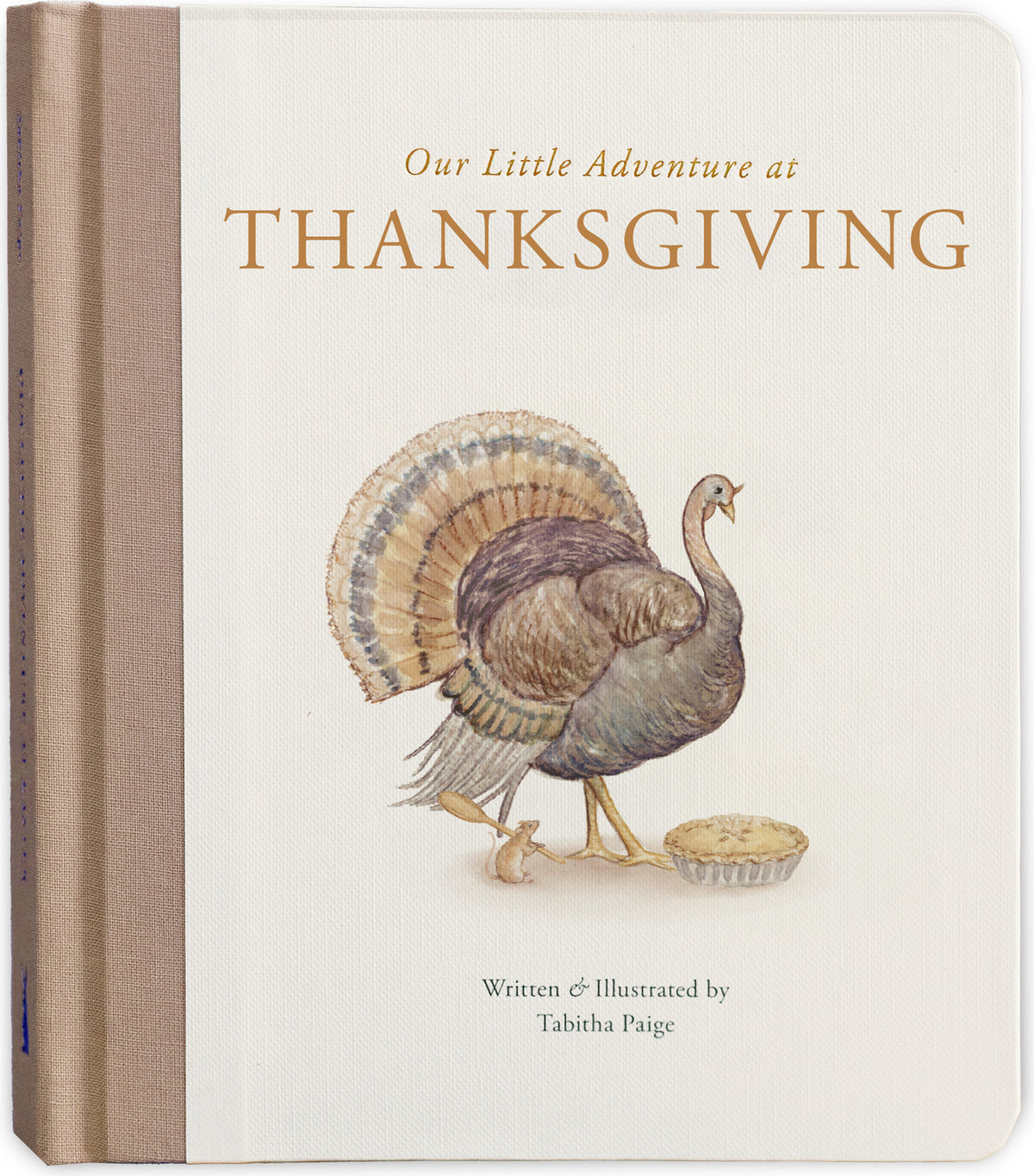 Our Little Adventure at Thanksgiving: Featuring Foundational Language Concepts and Lessons on Gratitude