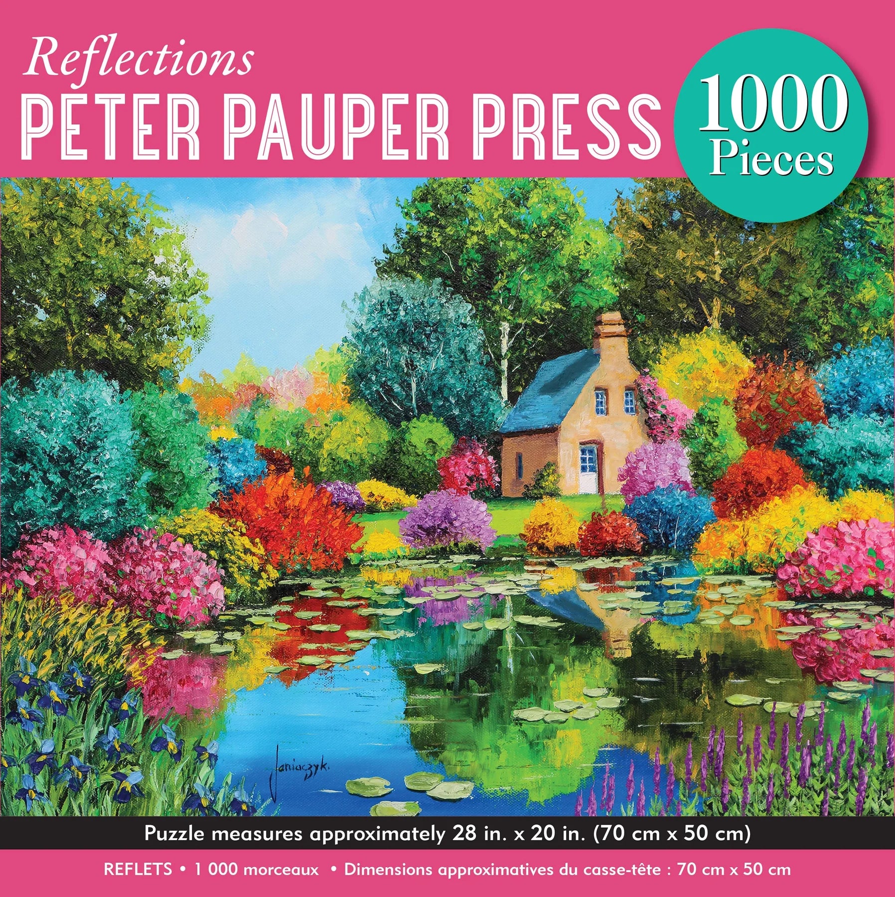 Reflections Puzzle (1000 pc)