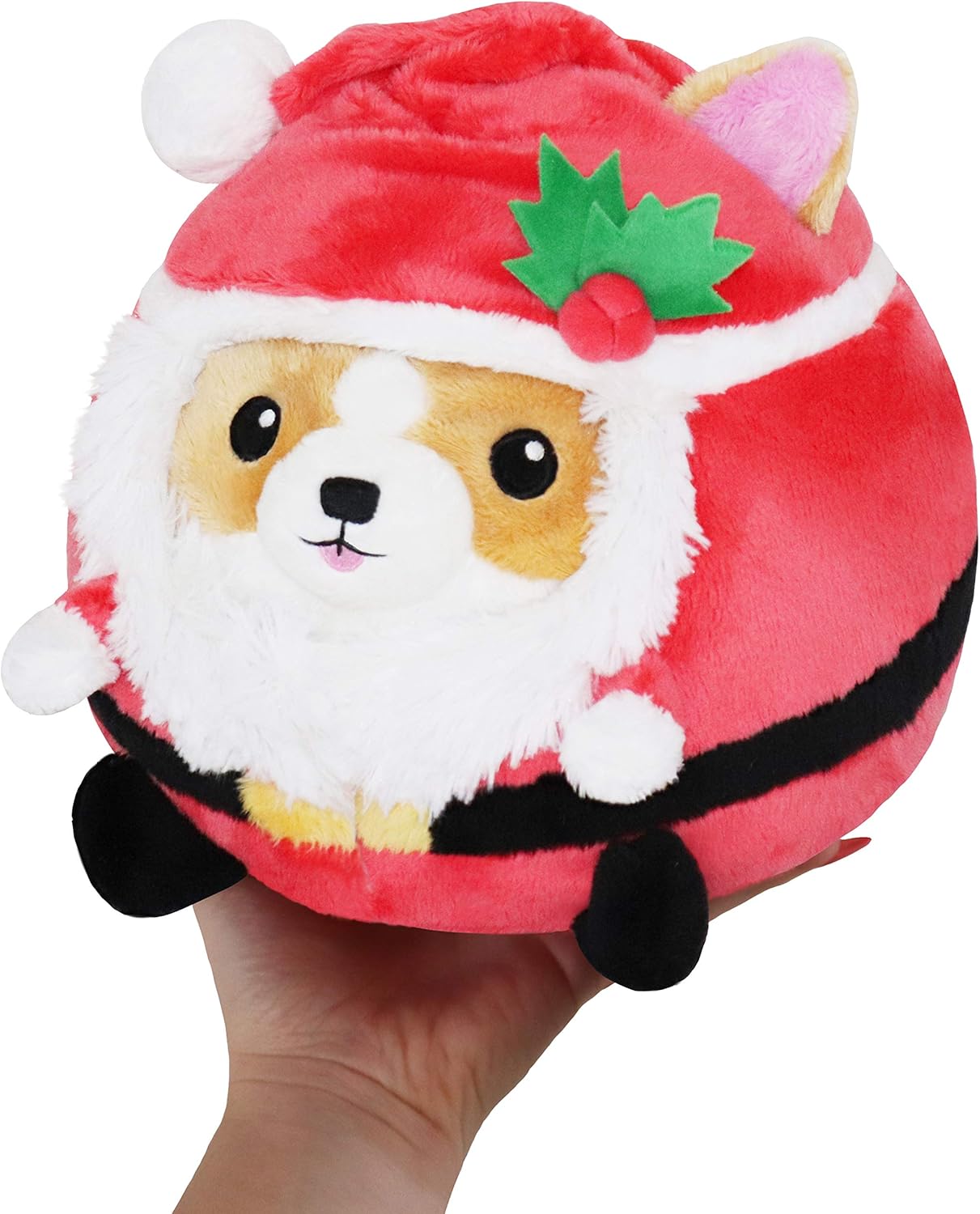 Undercover Corgi in Santa