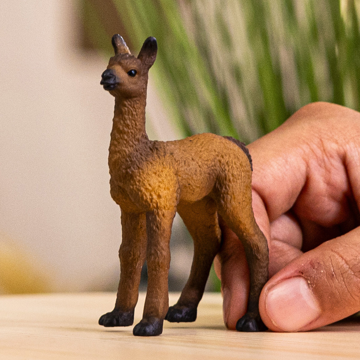 schleich FARM WORLD Llama Foal