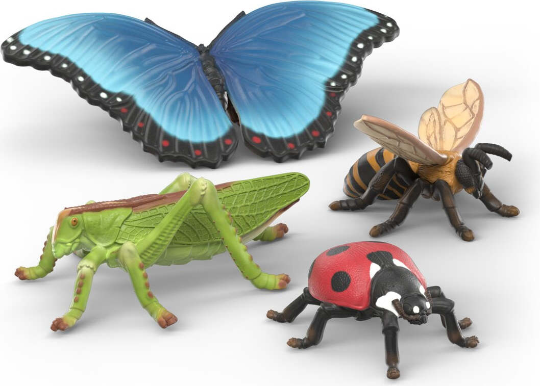 Insect Discovery Set