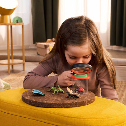 Insect Discovery Set