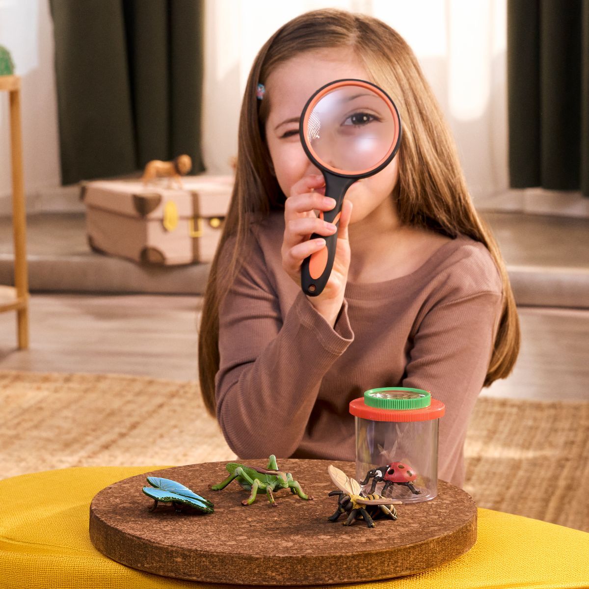 Insect Discovery Set