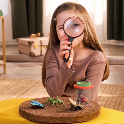 Insect Discovery Set
