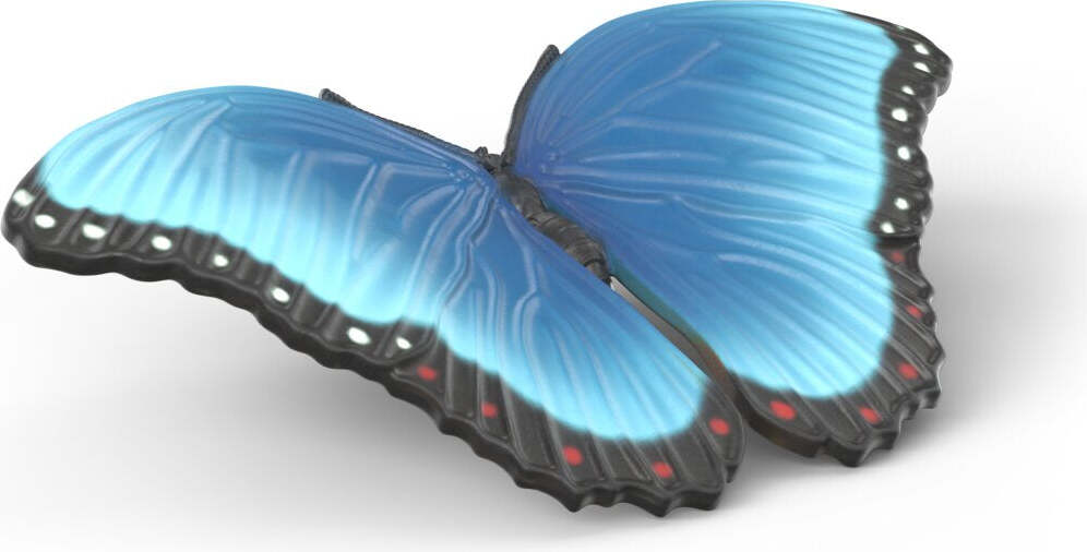 Insect Discovery Set