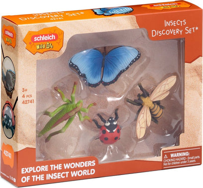 Insect Discovery Set
