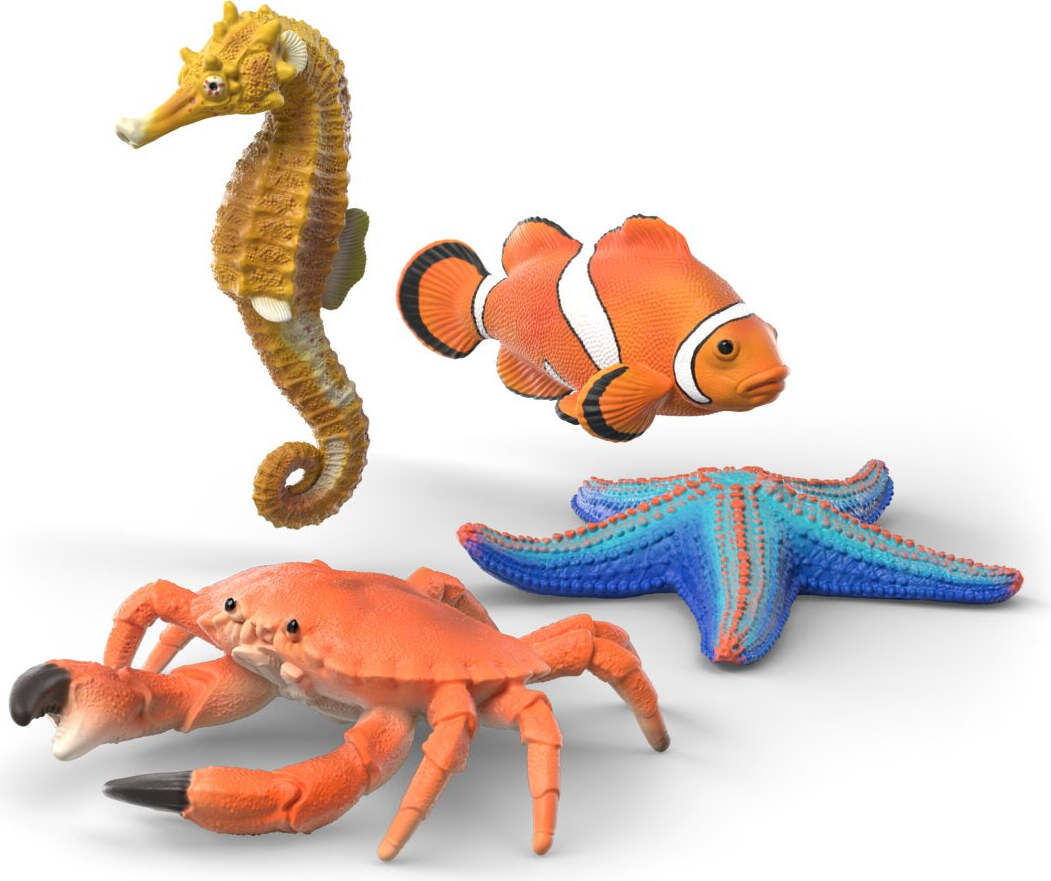 Sea Animals Discovery Set