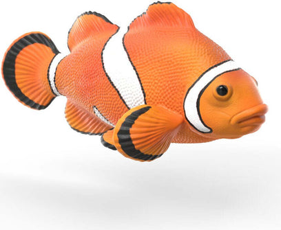 Sea Animals Discovery Set
